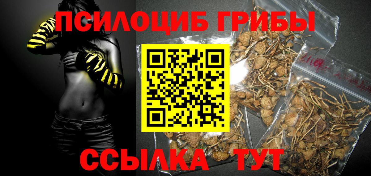 Псилоцибиновые грибы Magic Shrooms Мытищи